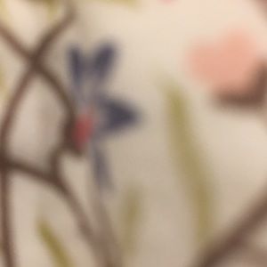 Meet your Posher, Xiaojie